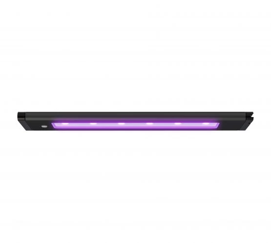 AI Blade Coral Glow LED - 12in