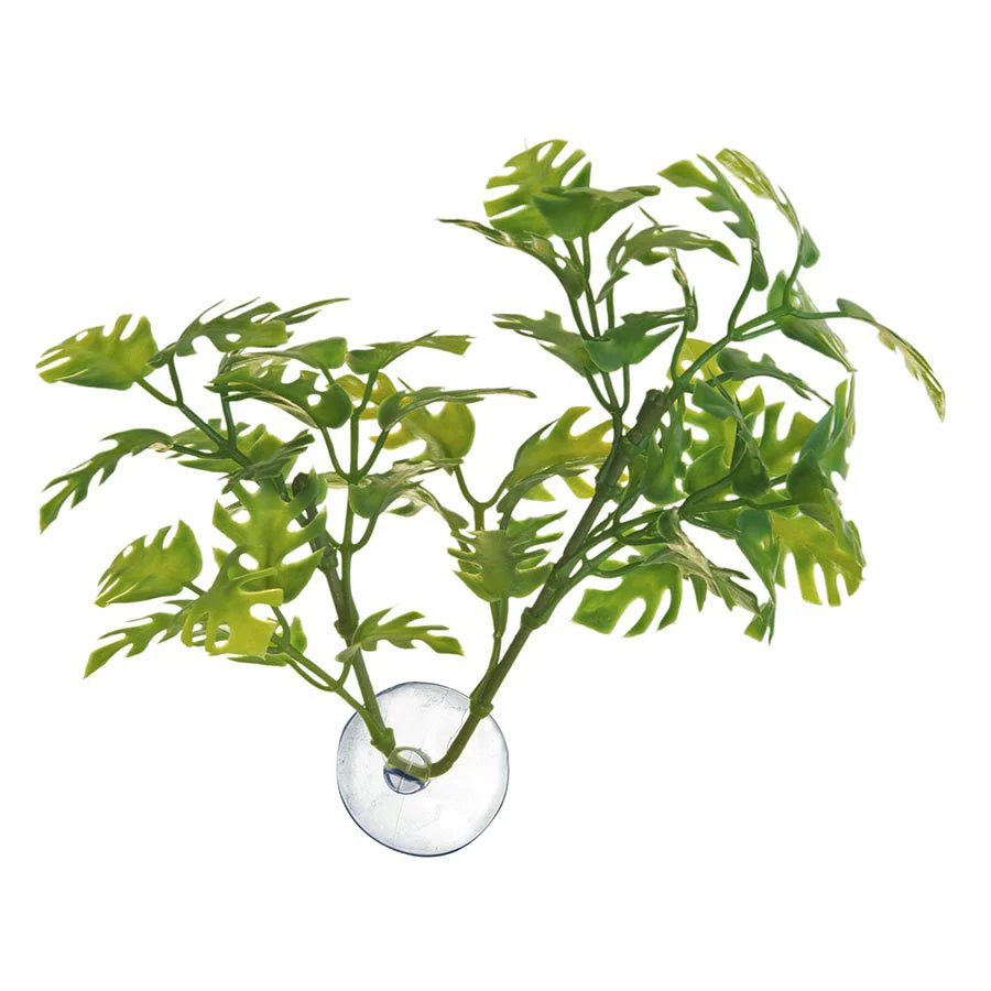Zoo-Med Bolivian Croton - Medium