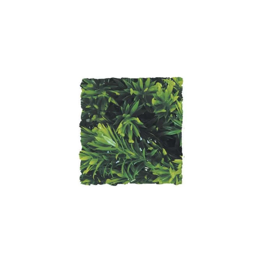 Zoo-Med Borneo Star - Medium
