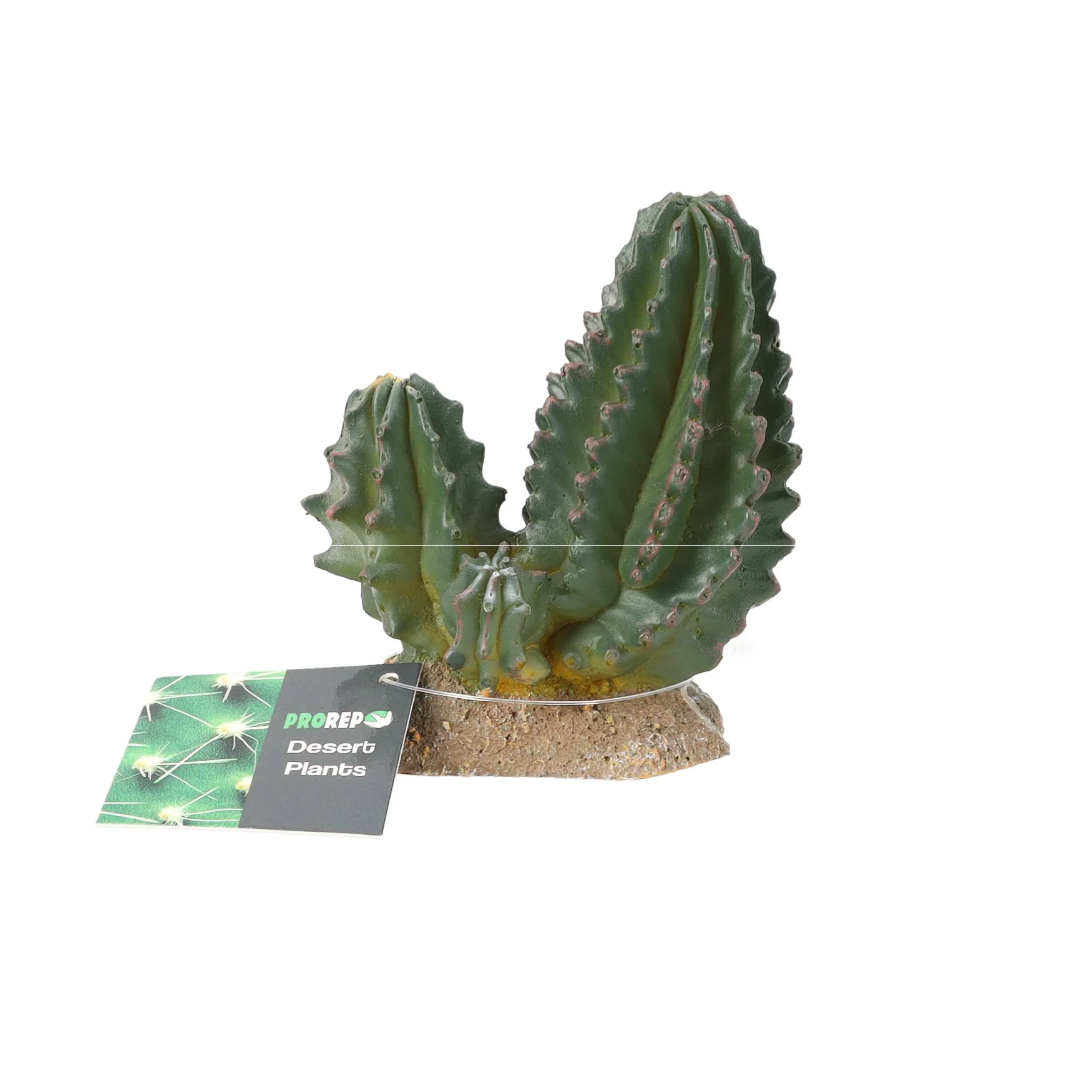 ProRep Cactus Group 9×5.5x10cm