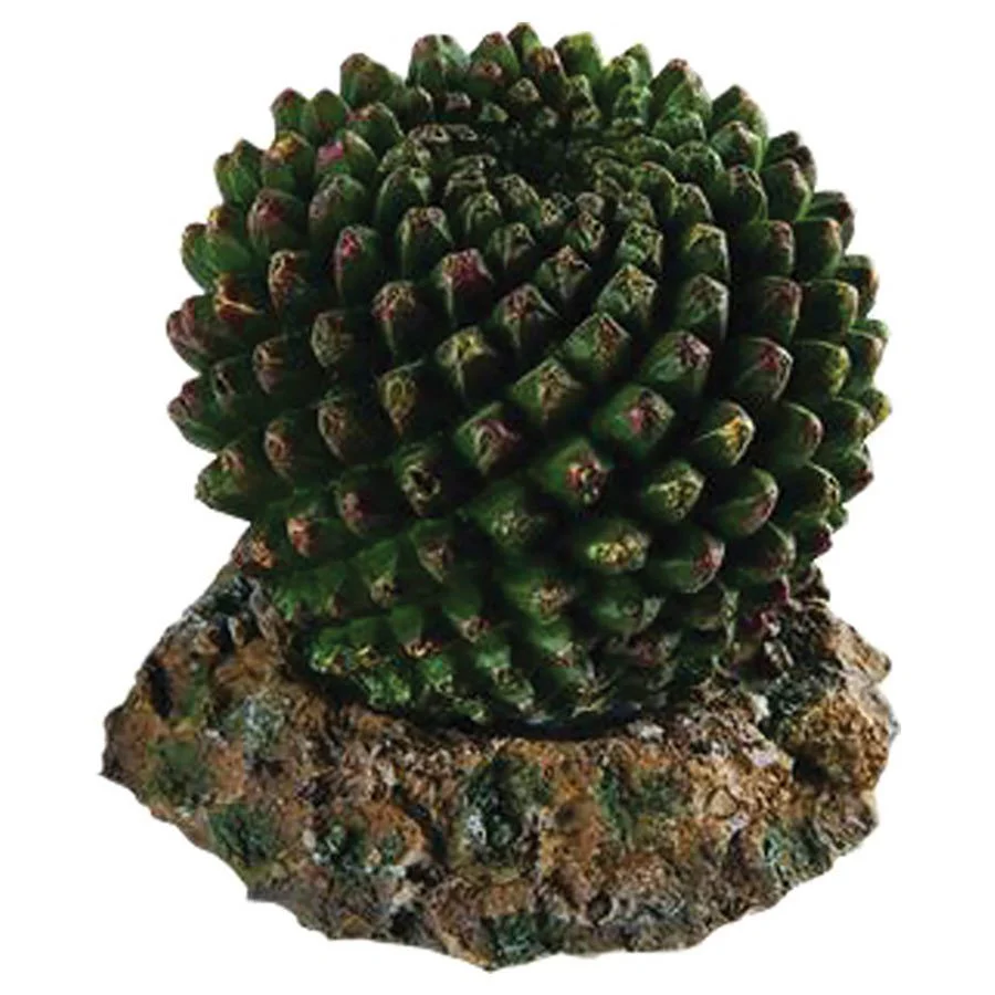 Cactus with Rock Base 7.5x7.5x7cm