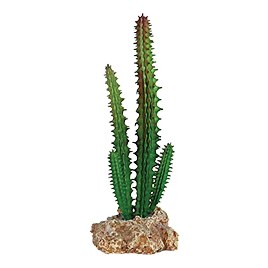 Cactus with Rock Base 5.5x5x14cm