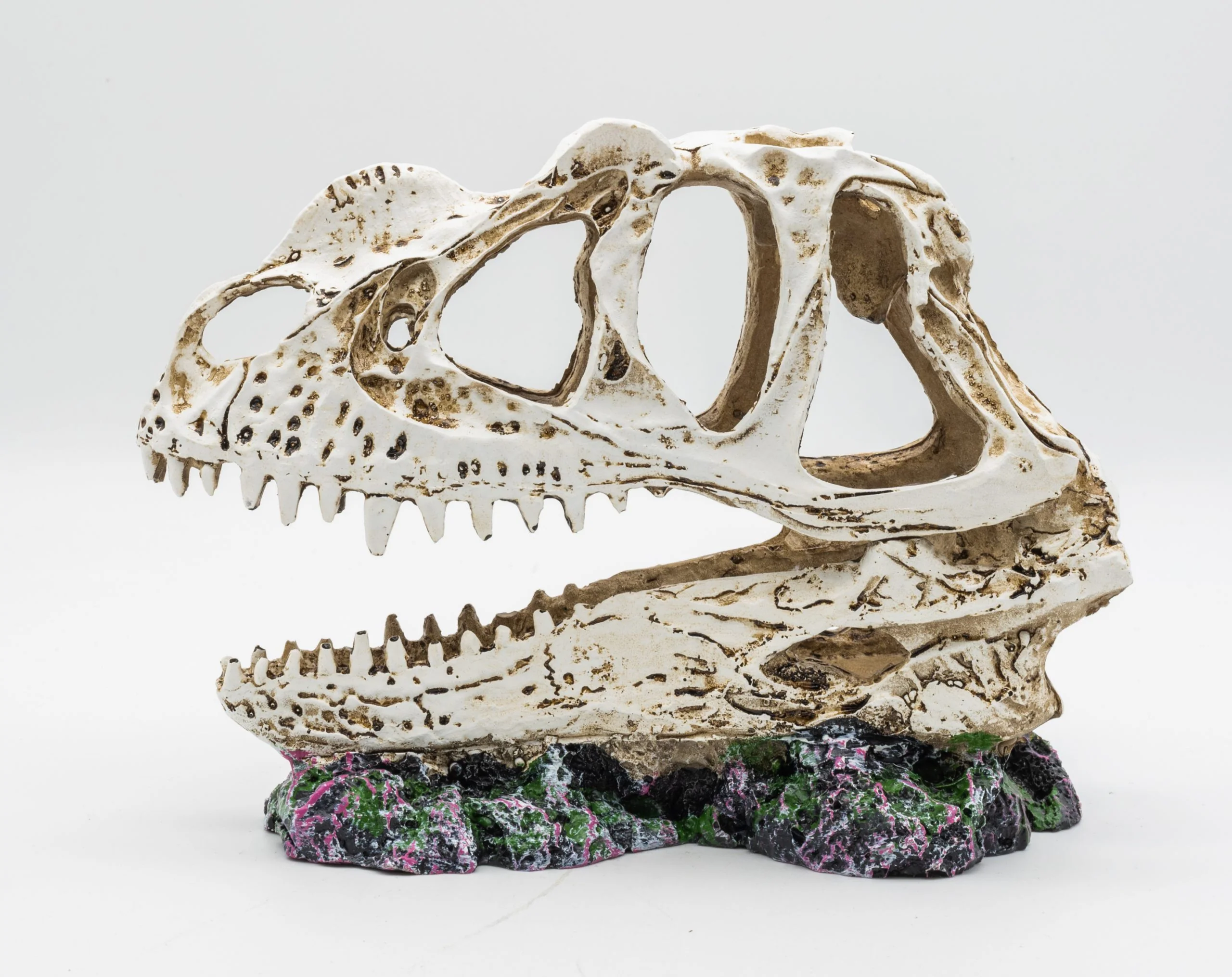 ProRep Ceratosaurus Skull 19x9x14cm