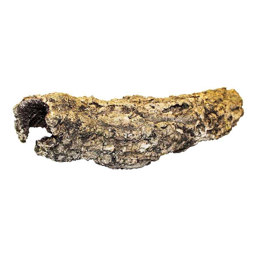 ProRep Cork Bark Small Tube - Short