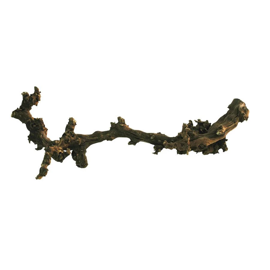 Lucky Reptile Dark Grapevine - Medium