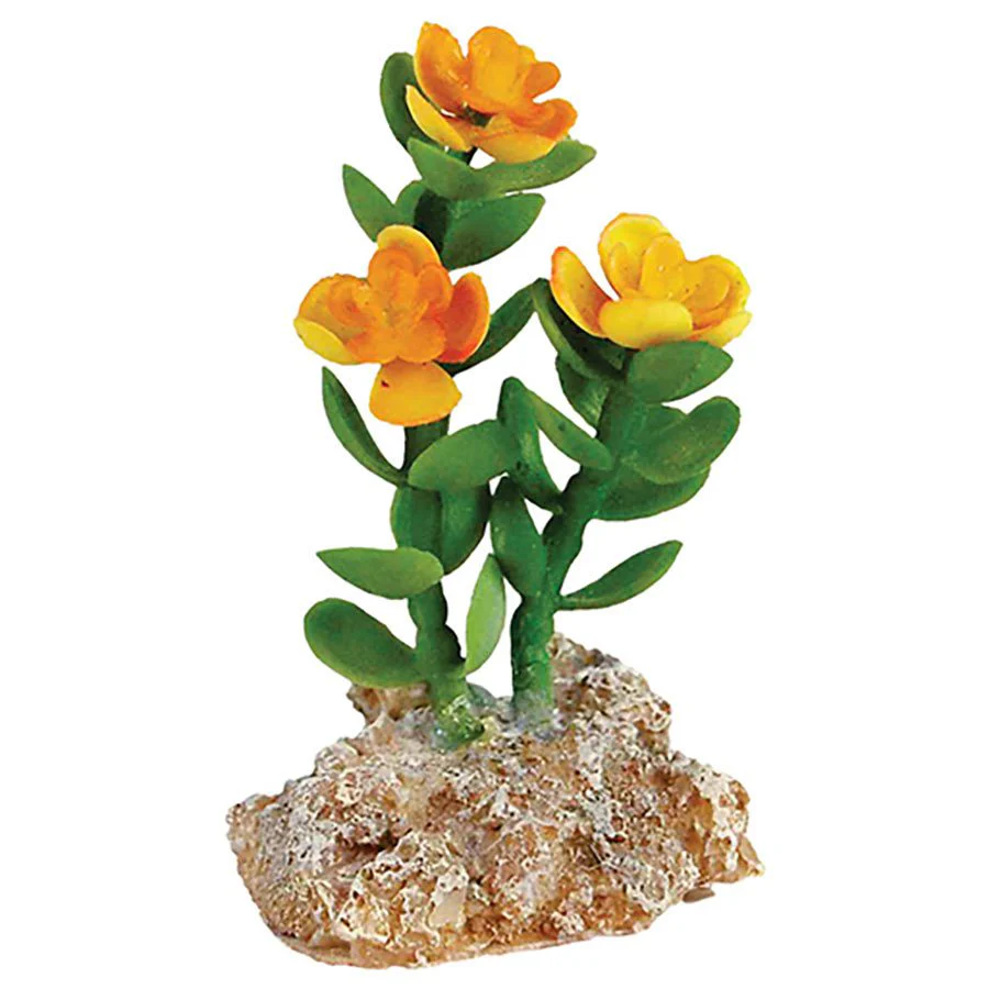 Desert Plant with Rock Base 6x5x9cm