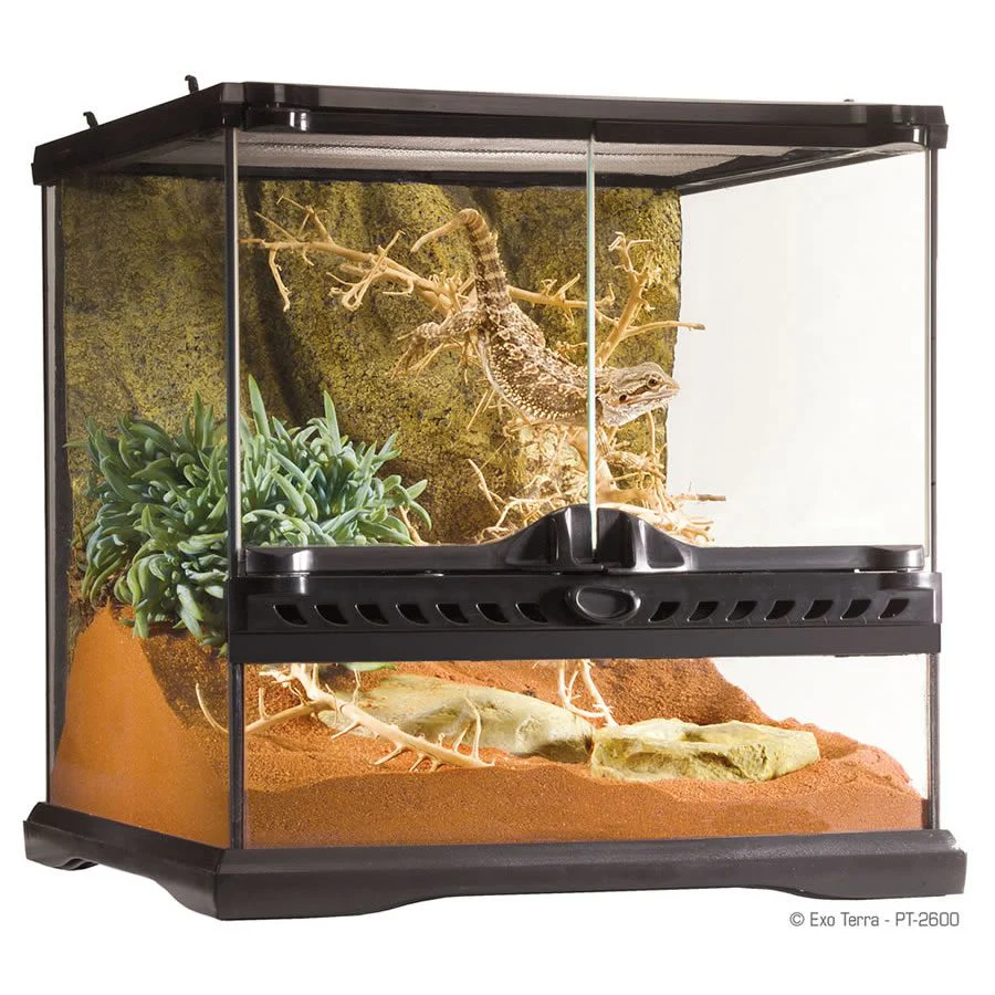 Exo-Terra Terrarium Mini/Wide 30x30x30cm