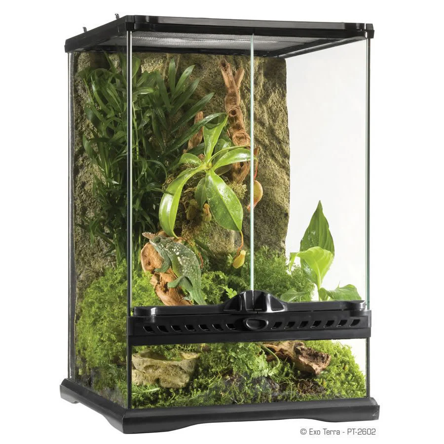 Exo-Terra Terrarium Mini/Tall 30x30x45cm