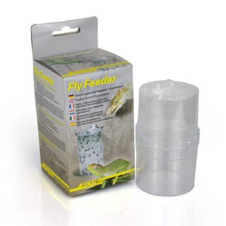 Lucky Reptile Fly Feeder