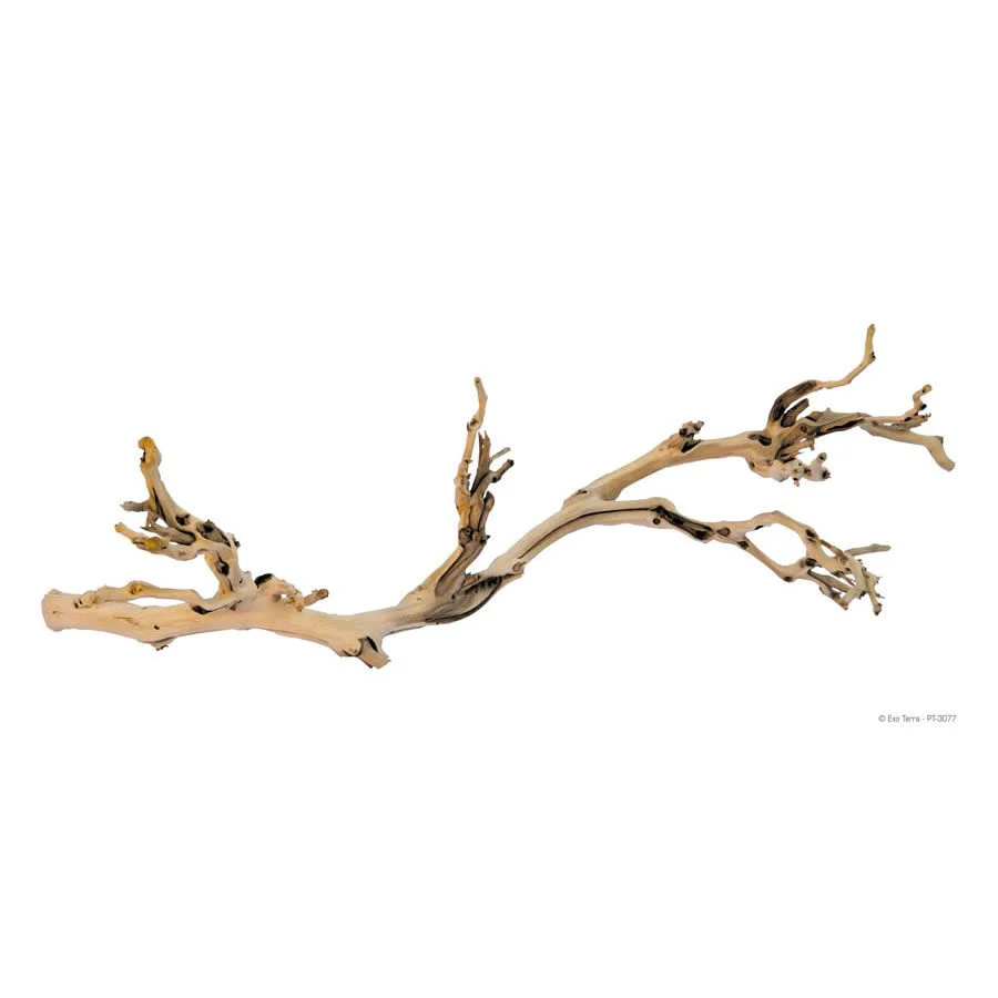 Exo-Terra Forest Branch - Large