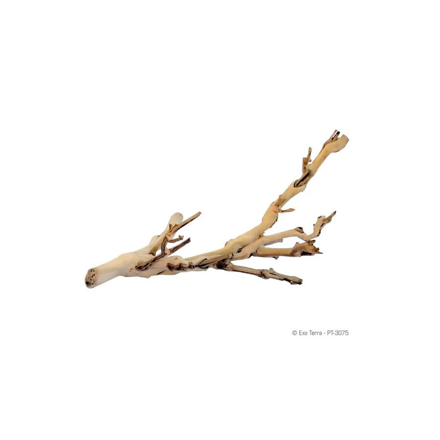 Exo-Terra Forest Branch - Small