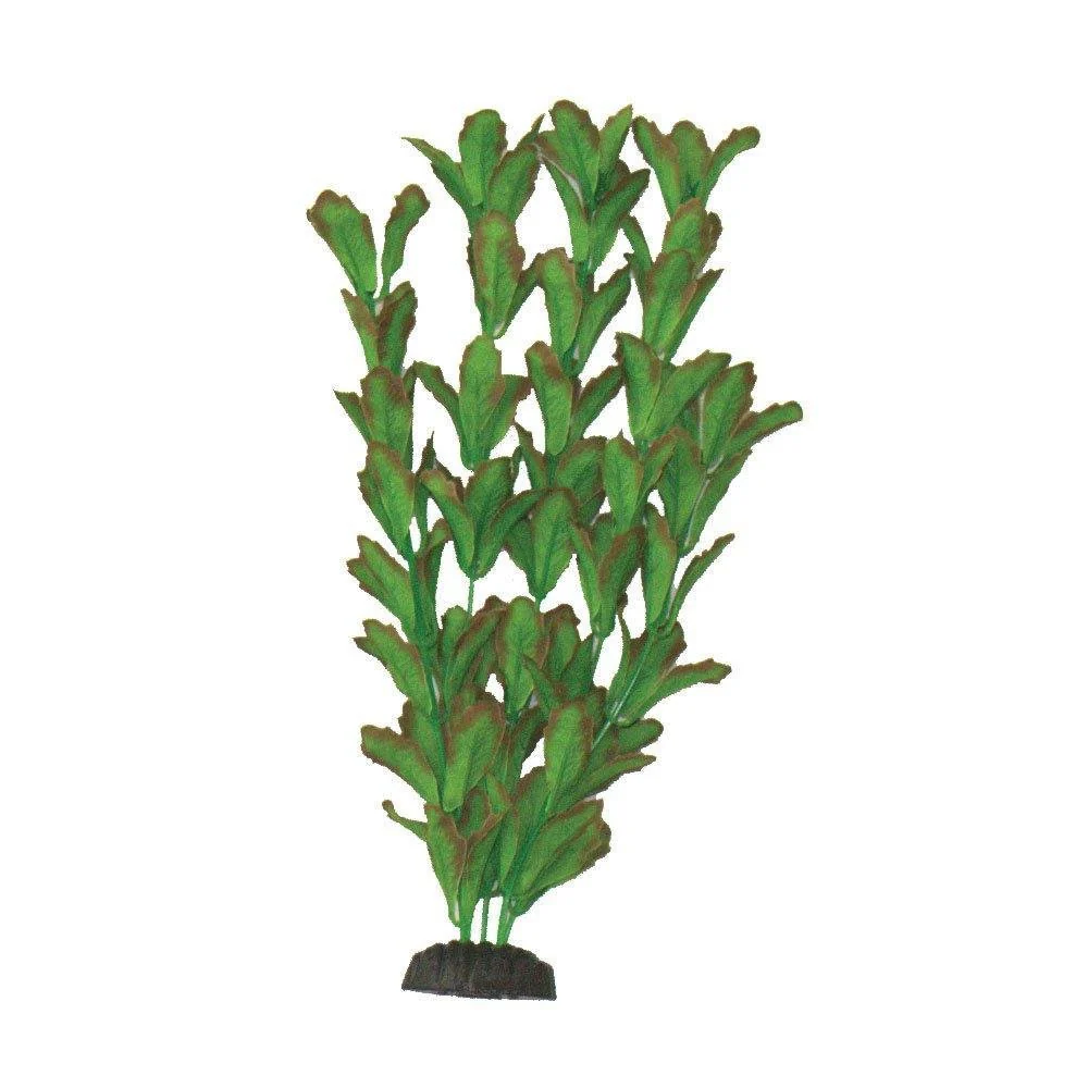 Hugo Kamishi - Rotundifolia Silk Aquascaping Aquarium Plants - Image 2