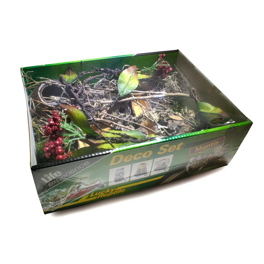 Lucky Reptile Life Experience Deco - Mantis