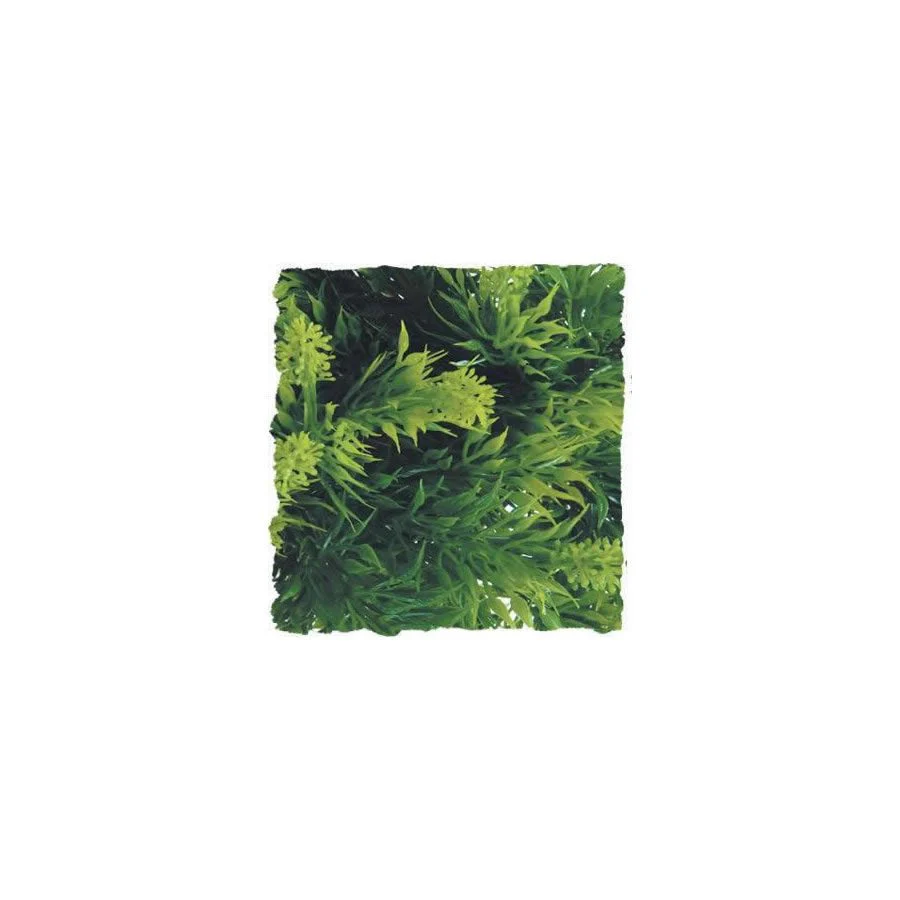 Zoo-Med Malaysian Fern - Large