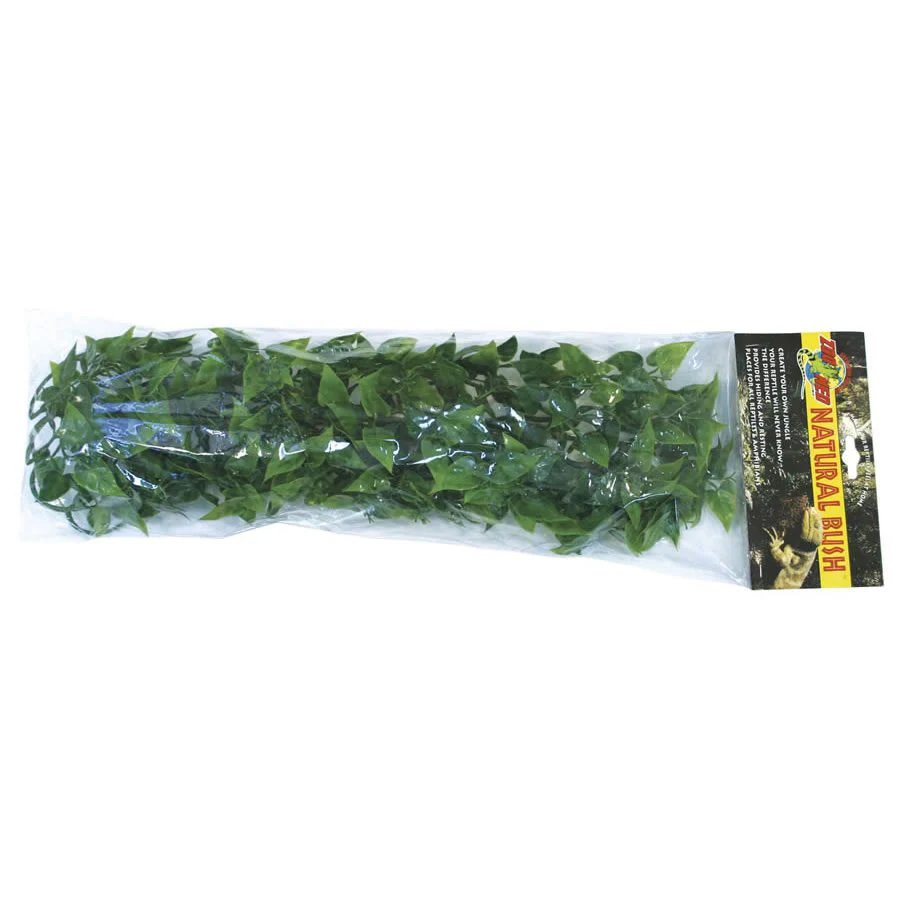 Zoo-Med Mexican Phyllo - Large