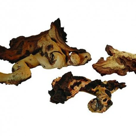 Mopani Wood X-Large