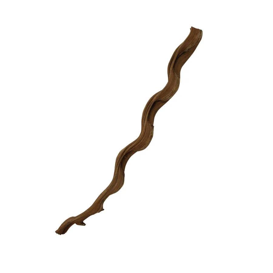 ProRep Natural Snake Vine - 60cm