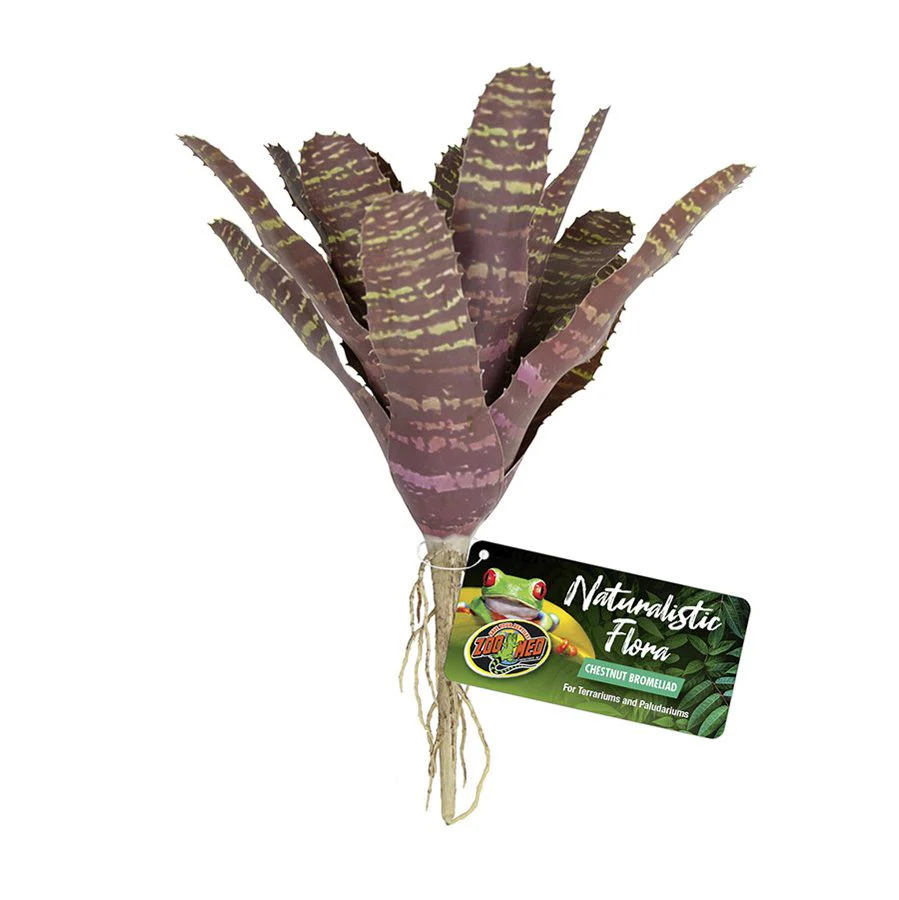 Zoo-Med Naturalistic Flora Chestnut Bromeliad