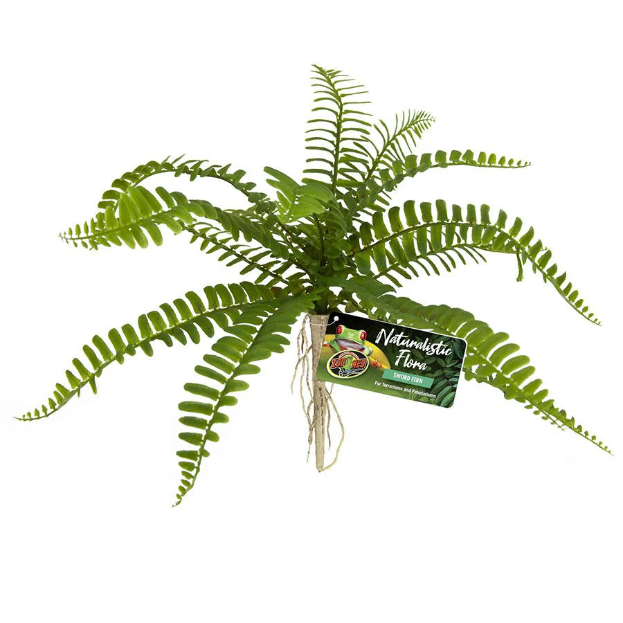 Zoo-Med Naturalistic Flora Sword Fern