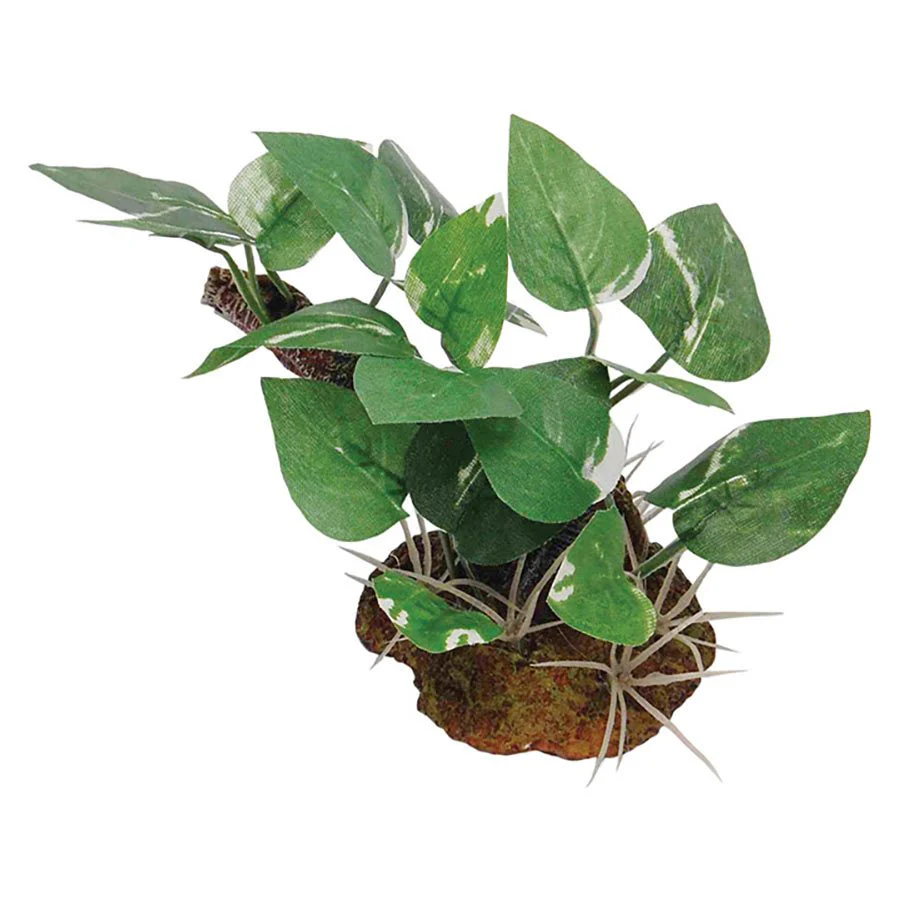 RepStyle Plant with Rock Base