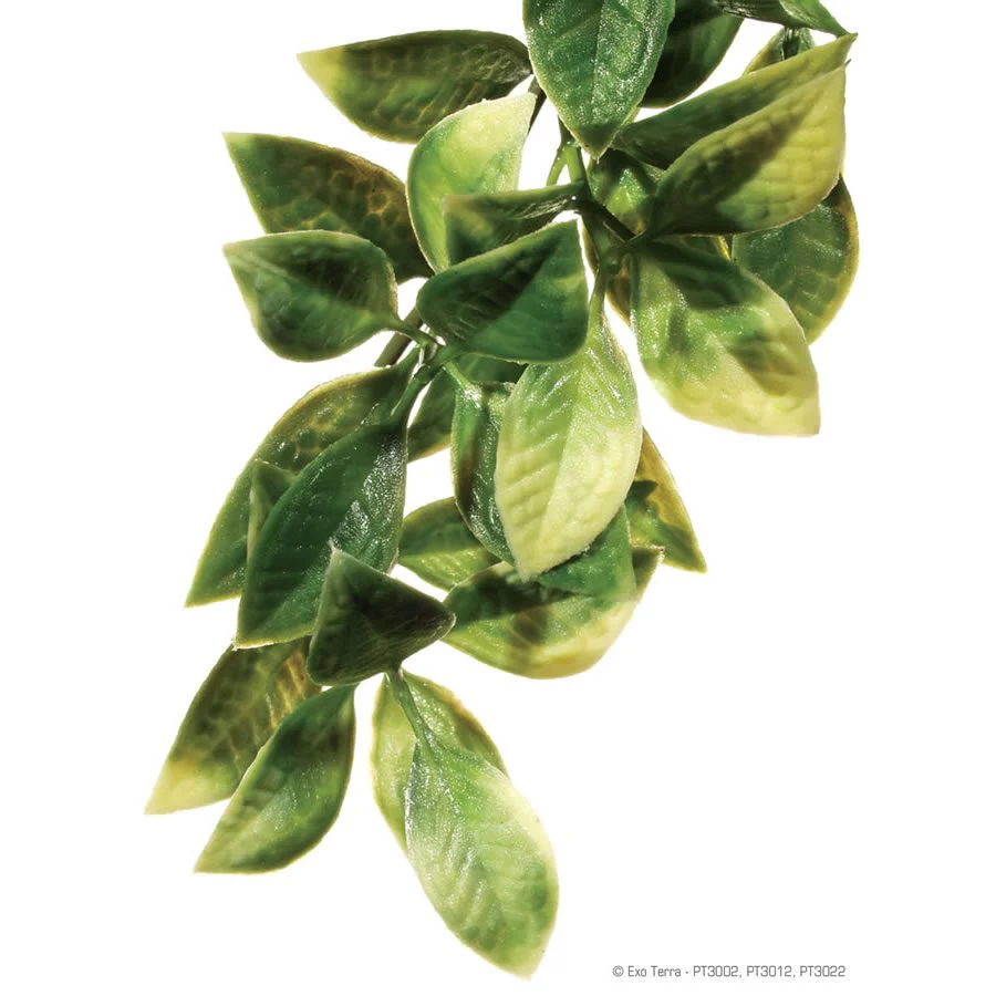 Exo-Terra Plastic Plant Mandarin - Medium
