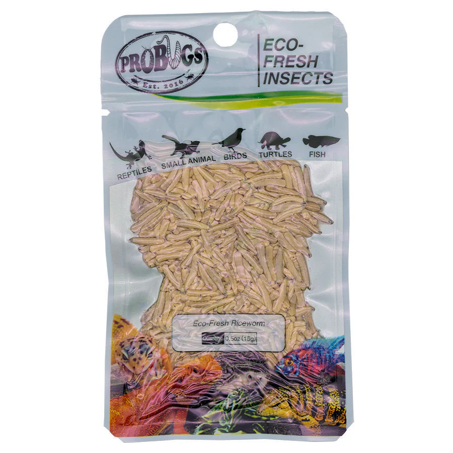 ProBugs Eco Fresh Riceworm, 15g