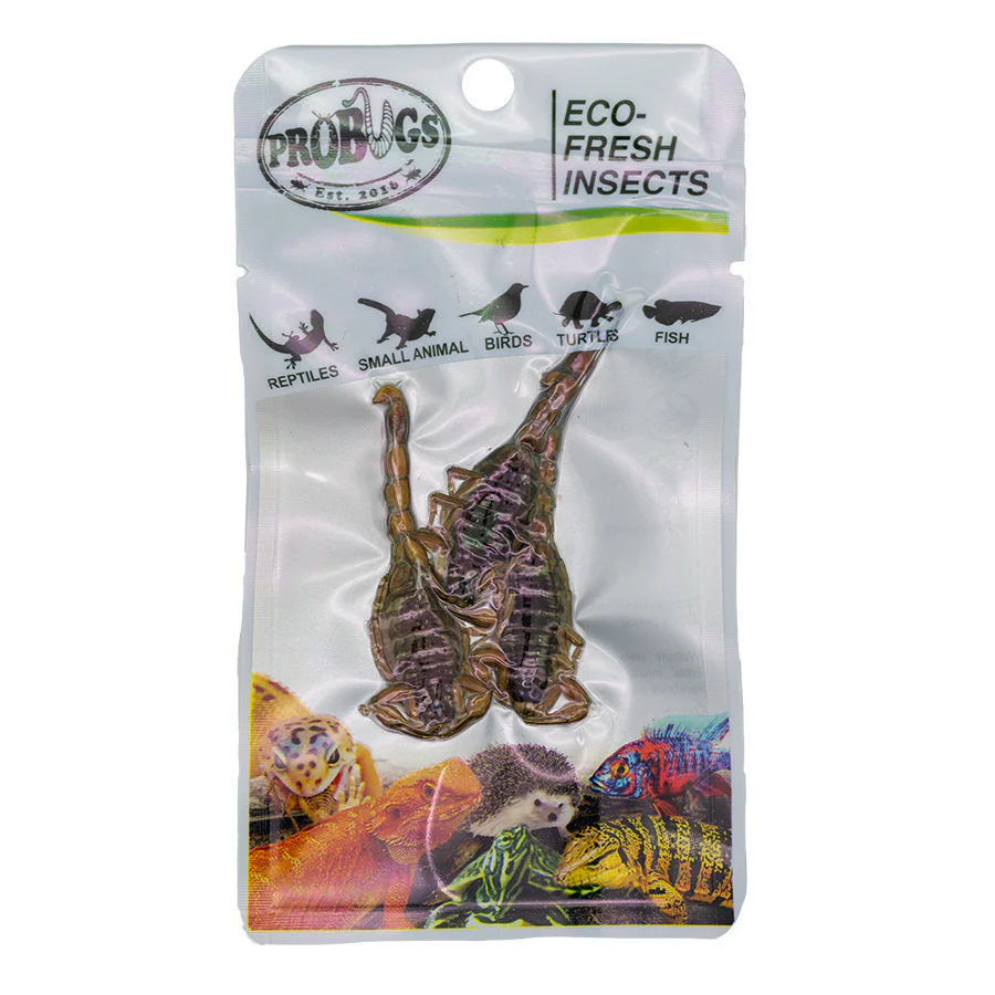 ProBugs Eco Fresh Scorpion, 3pcs