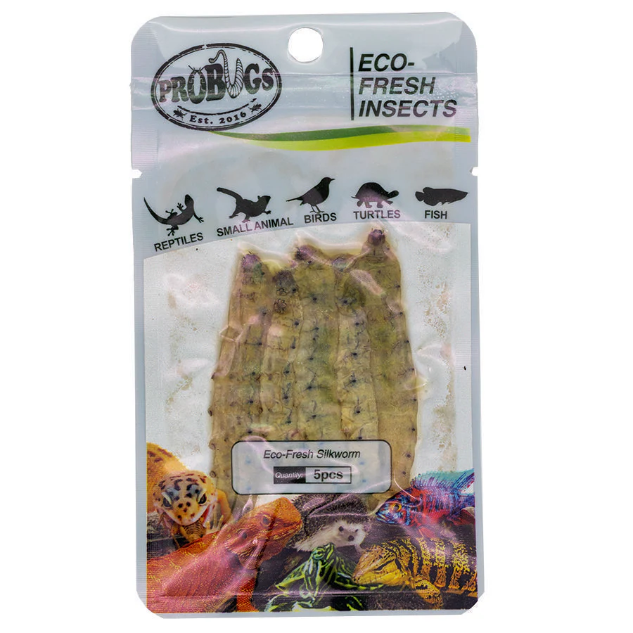 ProBugs Eco Fresh Silkworm, 5pcs