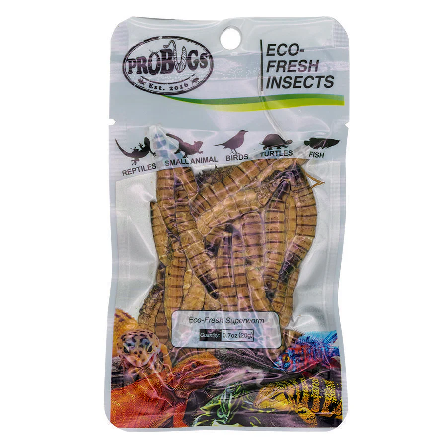 ProBugs Eco Fresh Superworm, 20g