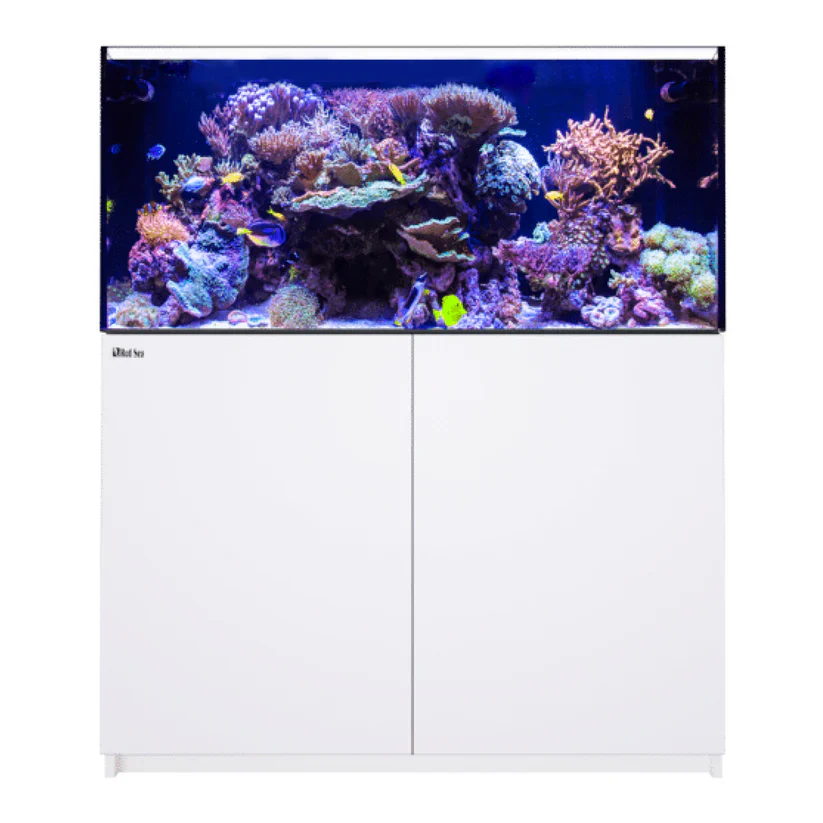 Red Sea REEFER 425 G3 - Image 2