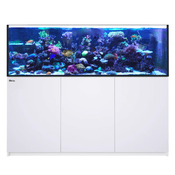 Red Sea REEFER MAX 750 G3 - Image 2