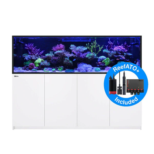 Red Sea REEFER S-1000 G3 Deluxe - Image 2