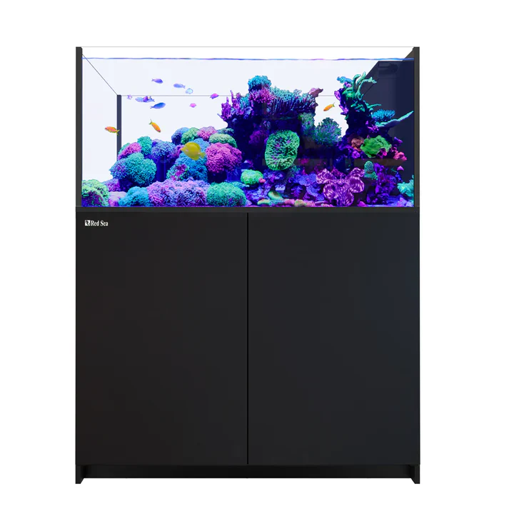 Red Sea REEFER Peninsula 500 G3