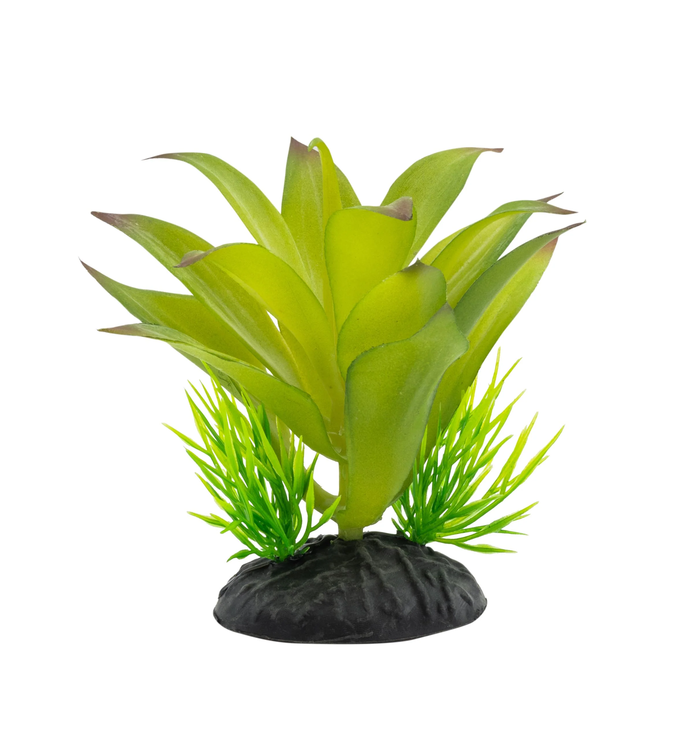 ProRep Sanseviria Plant - 10cm