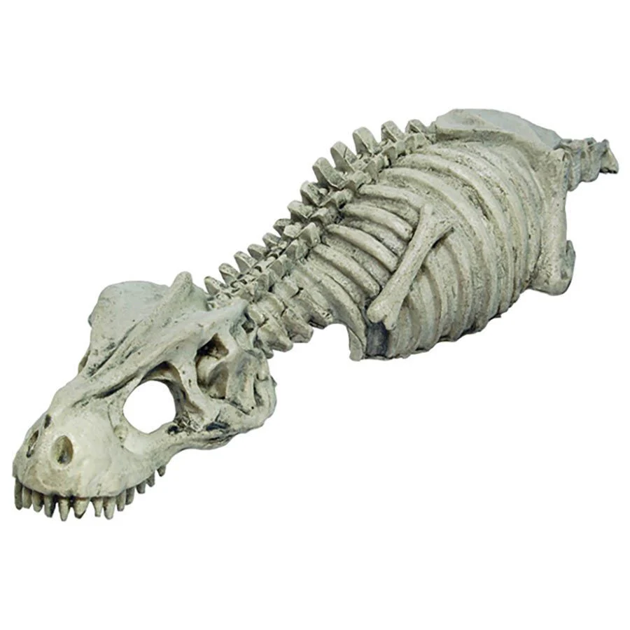 RepStyle Skeleton Dinosaur 27 x 8 x 4cm