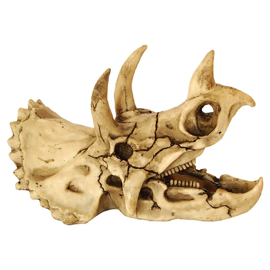 RepStyle Skull Dinosaur 18.5 x 10 x 12.5cm