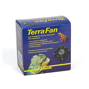 Lucky Reptile Terra Fan