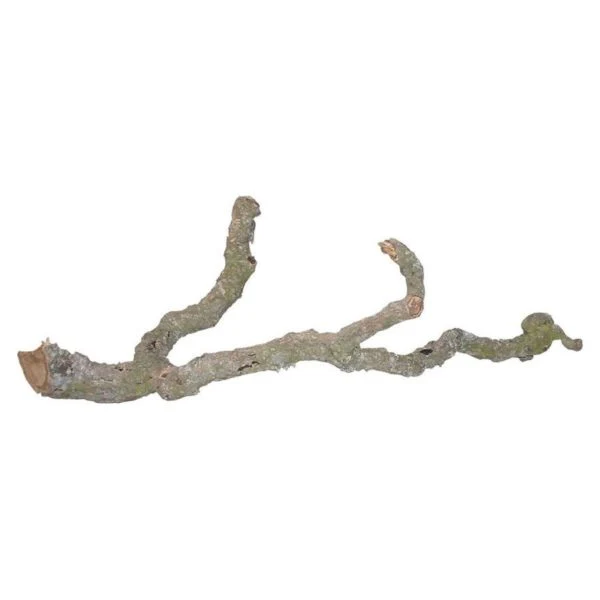 Lucky Reptile Tronchos Branches 60-90cm
