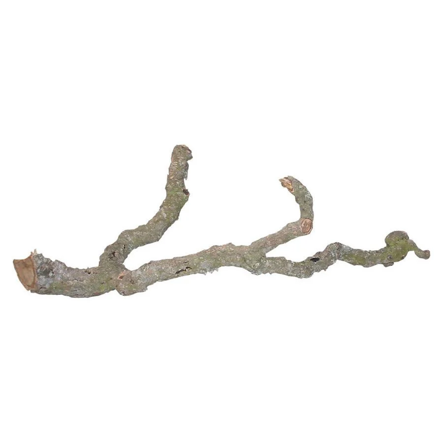 Lucky Reptile Tronchos Branches 90-120cm