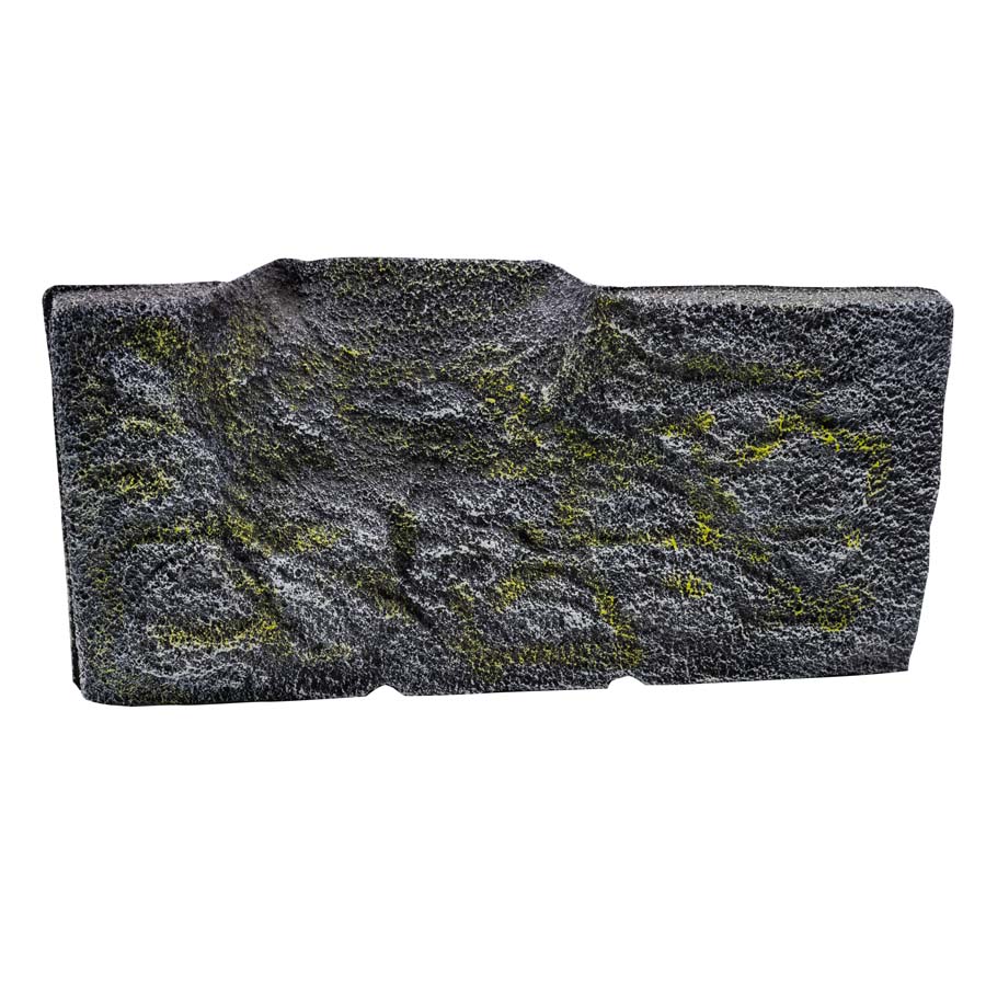 RepStyle Turtle Bank - Medium
