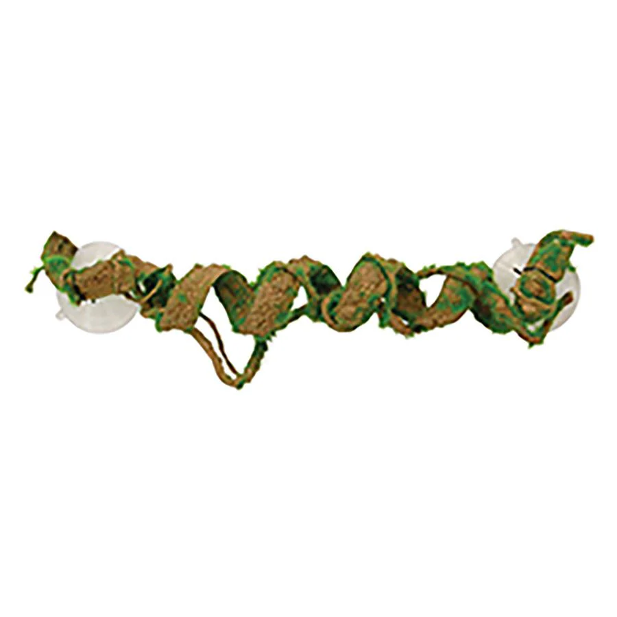Vine Sucker Mounted - 35cm